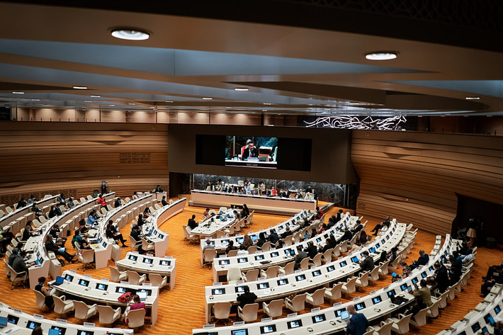 Updates from the 75th World Health Assembly